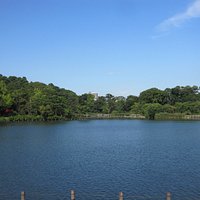洗足池