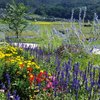 Things To Do in Herb No Sato Fishing Area, Restaurants in Herb No Sato Fishing Area