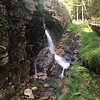 Things To Do in Ammonoosuc Ravine Trail, Restaurants in Ammonoosuc Ravine Trail