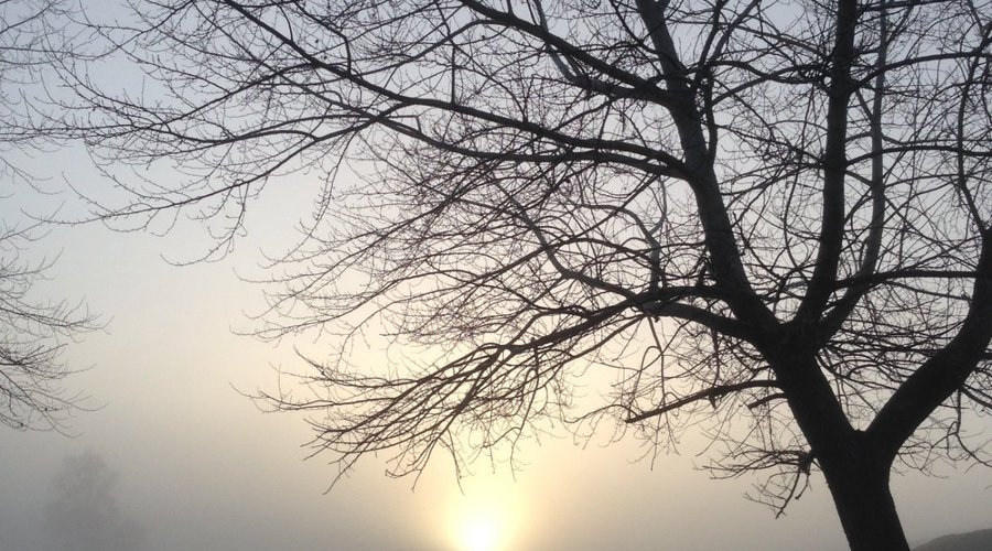 Sunrise 