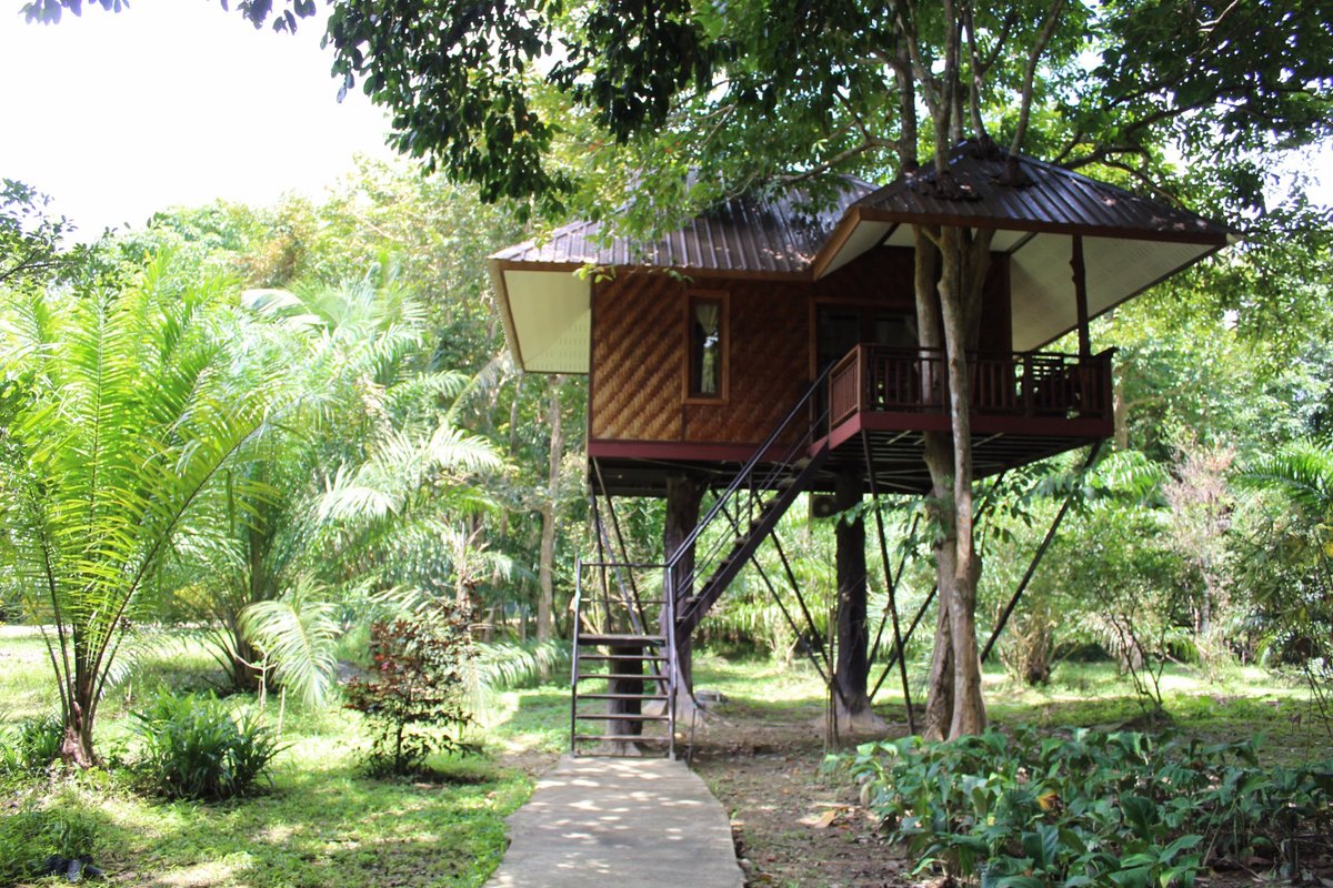 Baan Khao Sok Resort Rooms: Pictures & Reviews - Tripadvisor