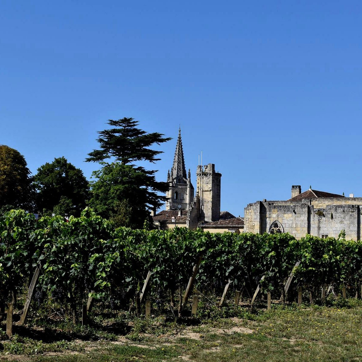 CHATEAU VILLEMAURINE (Saint-Emilion) - All You Need to Know BEFORE You Go