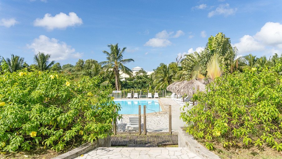 Piscine / Pool