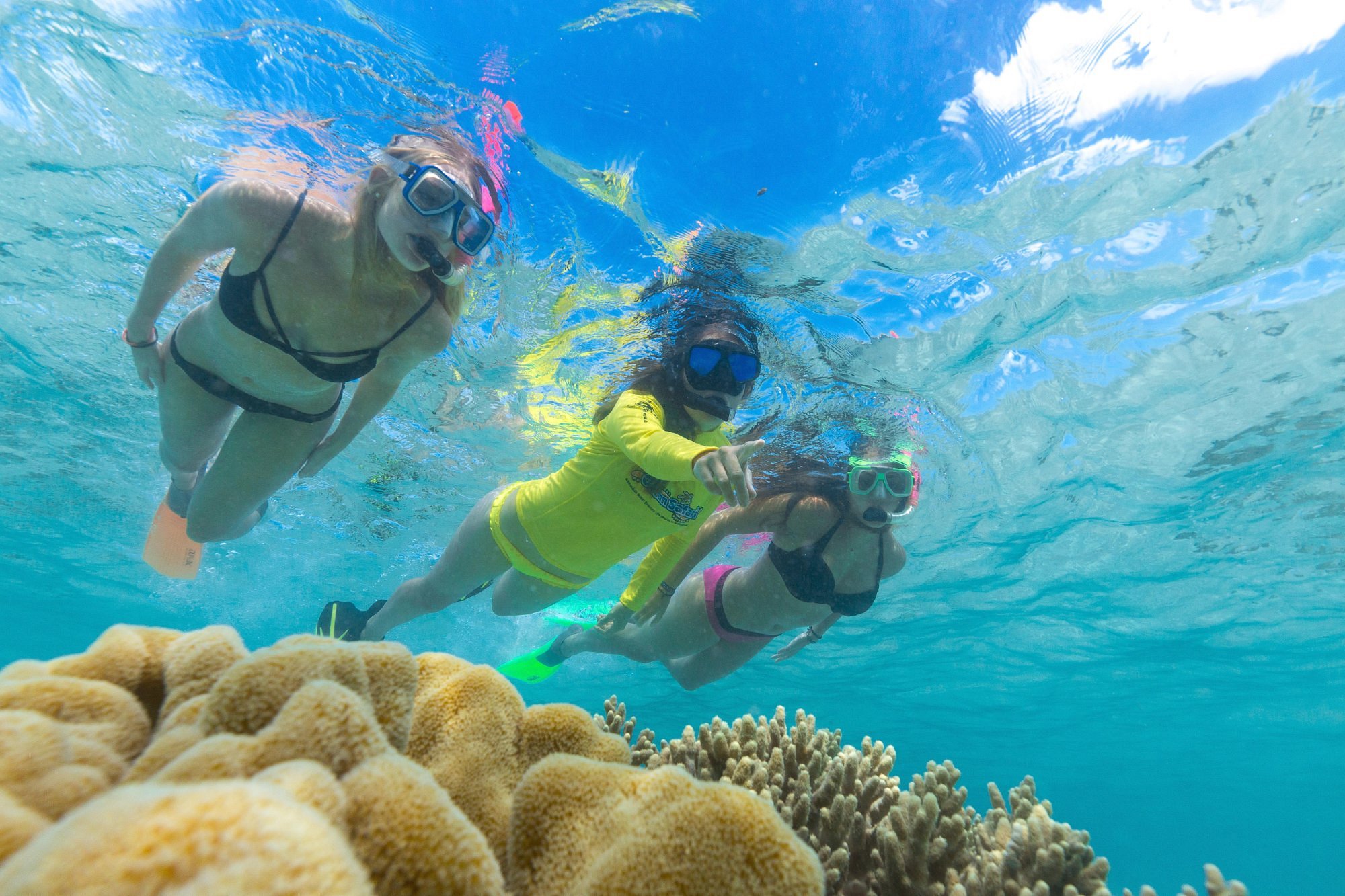 ocean safari guam