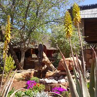 Outside Terrace, indigenous gardens.