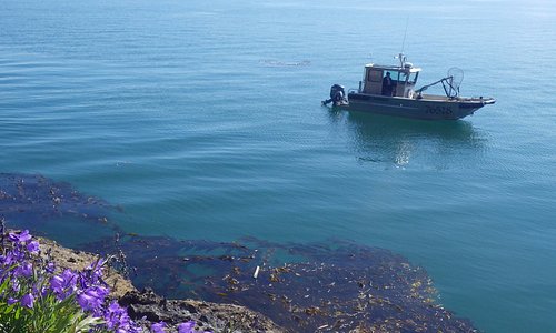 The Luna Sea provides intimate custom boat tours.