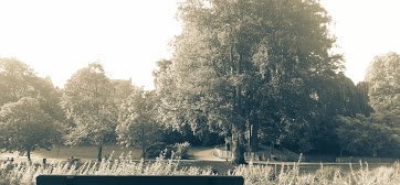 vue du parc
