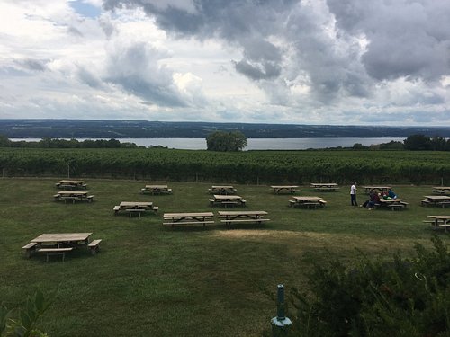 Cortland Apples - Fulkerson Winery - Finger Lakes Winery - Seneca