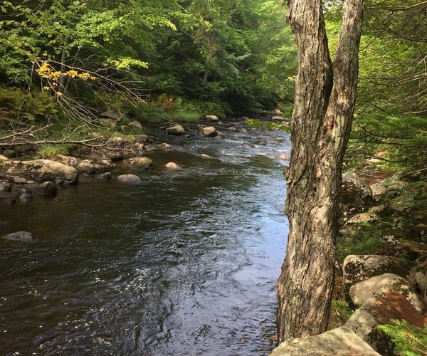 Great rail trails — Visit Concord New Hampshire