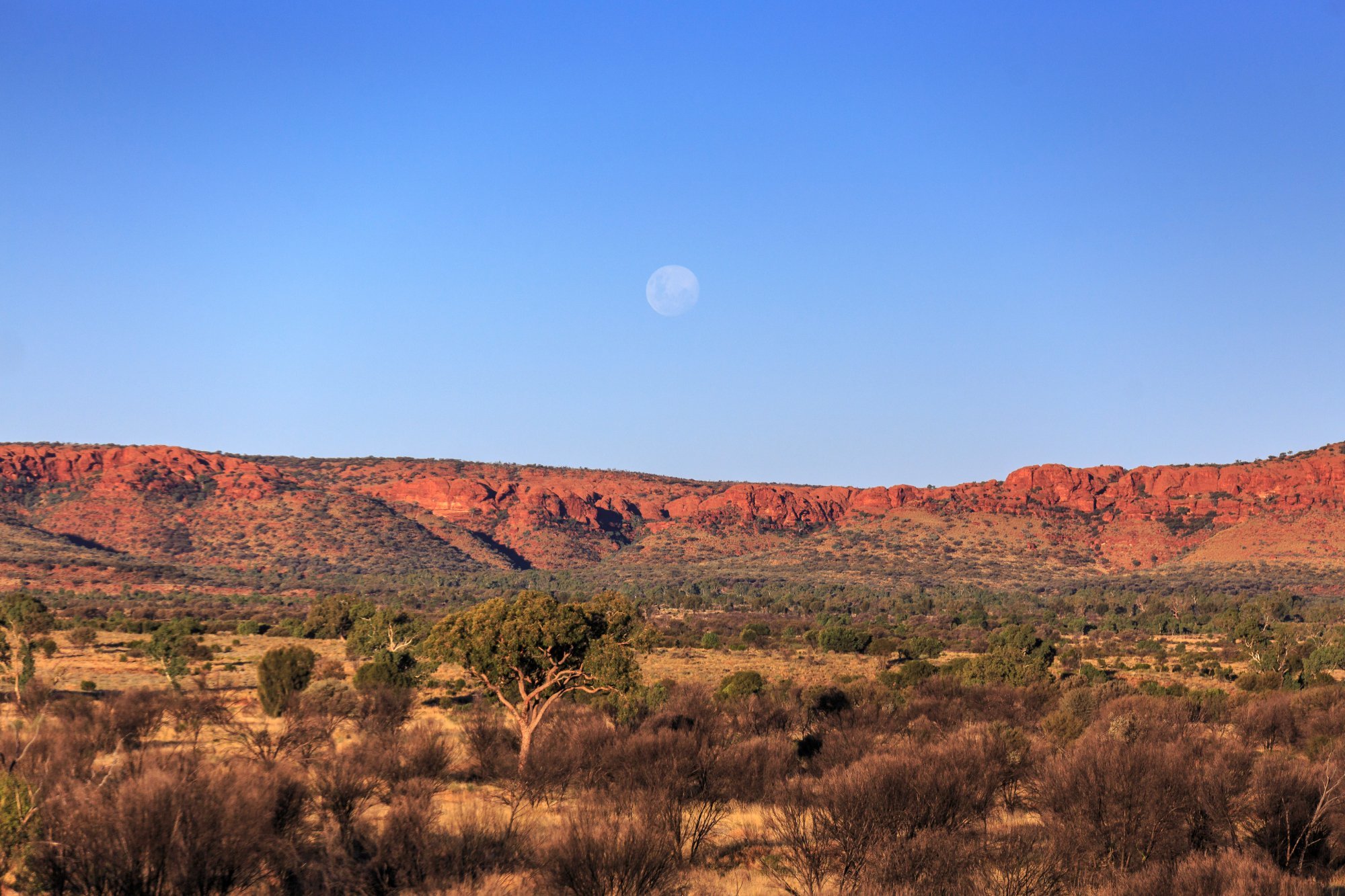 Discovery Resorts - Kings Canyon by null