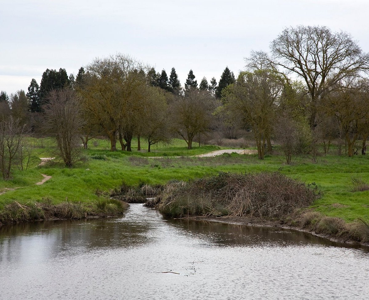 LAGUNA CREEK TRAIL (Elk Grove) All You Need to Know BEFORE You Go