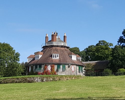 35 indoor things to do on a rainy day in Devon