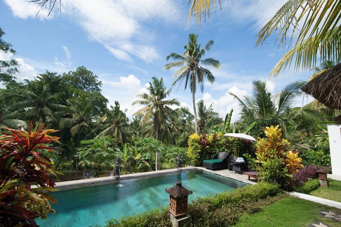 THE ARK UBUD BALI - Prices & Hotel Reviews