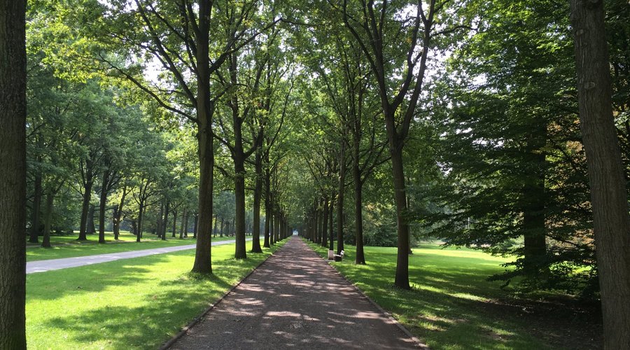 View of the park opposite the Orangerie
