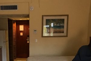 Room & Suite