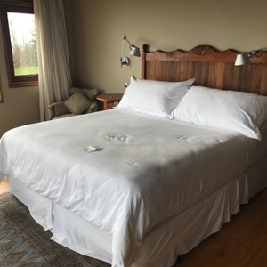 A cozy and huge room overlooking the lake even from the bathroom window.