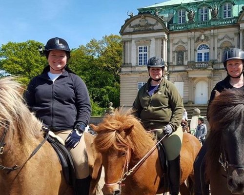 horseback riding in denmark