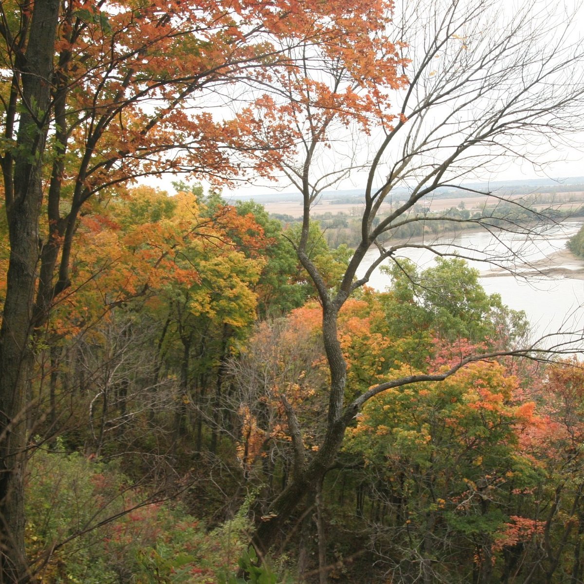 Ironbark state park