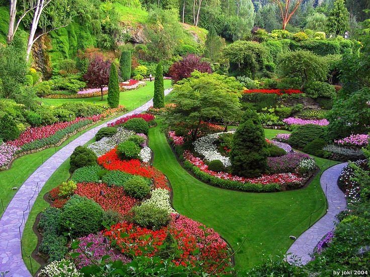 Government Botanical Garden image