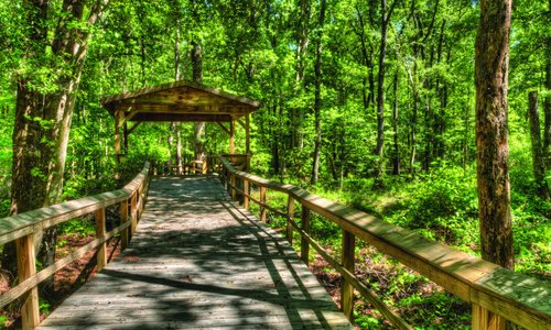 Walterboro Wildlife Sanctuary
