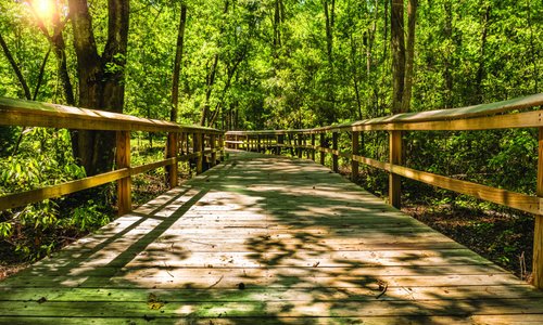Walterboro Wildlife Sanctuary