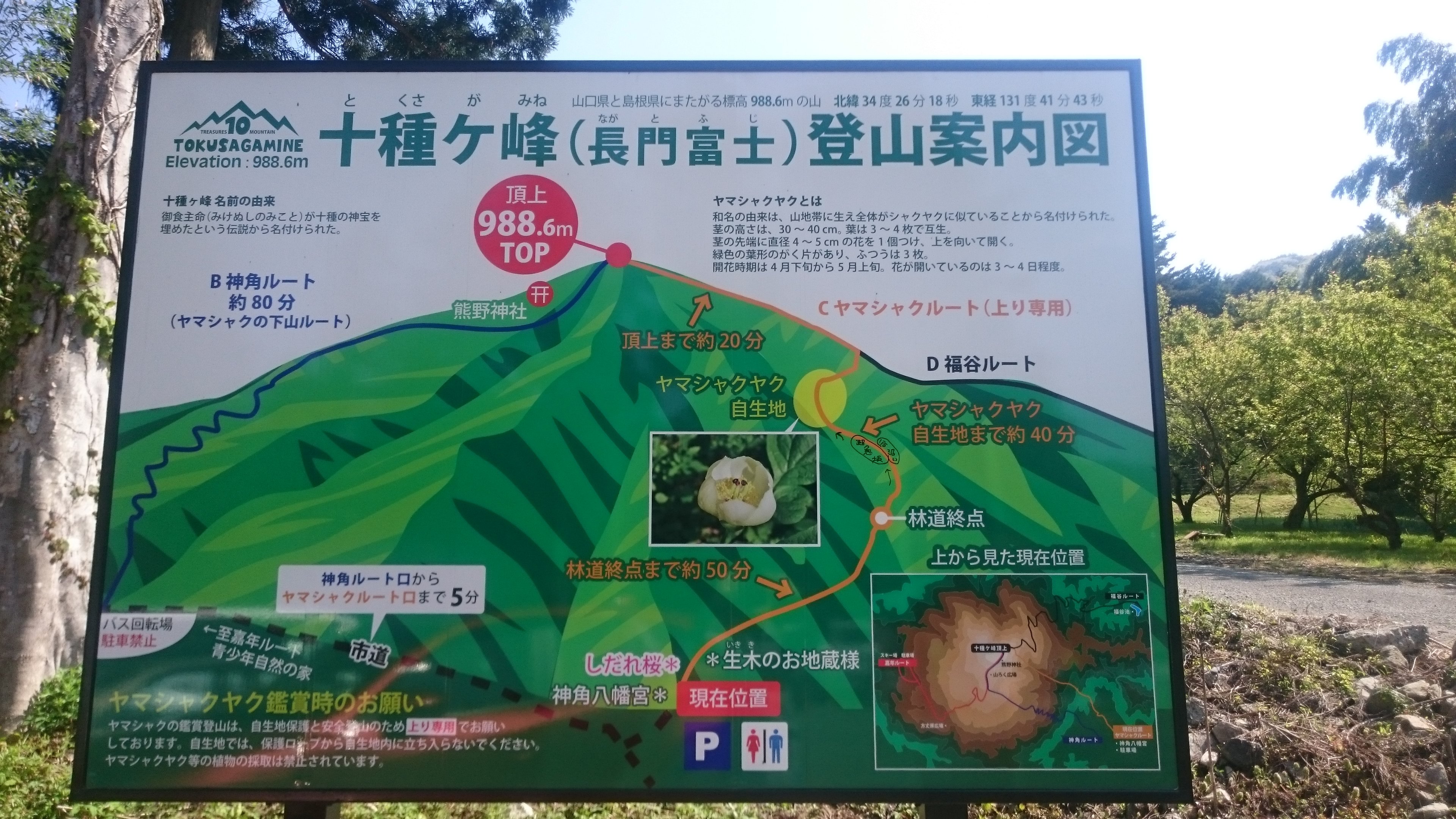 Tokusagamine Wood Park (Yamaguchi) - All You Need to Know BEFORE