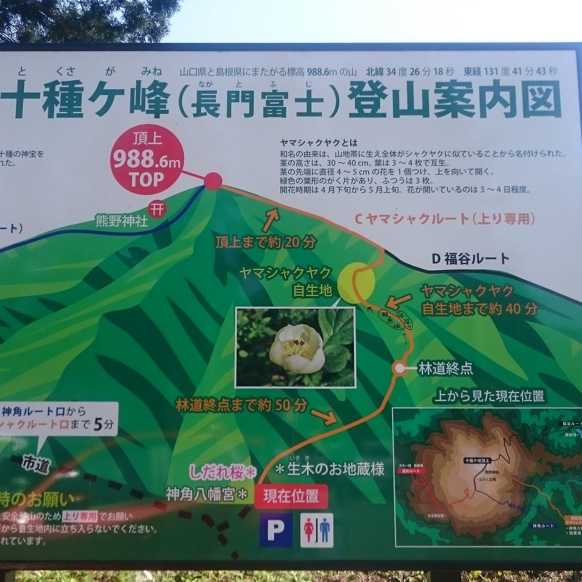 Tokusagamine Wood Park Yamaguchi 22 Ce Qu Il Faut Savoir Pour Votre Visite Tripadvisor