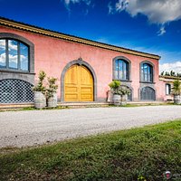 Cellar Door