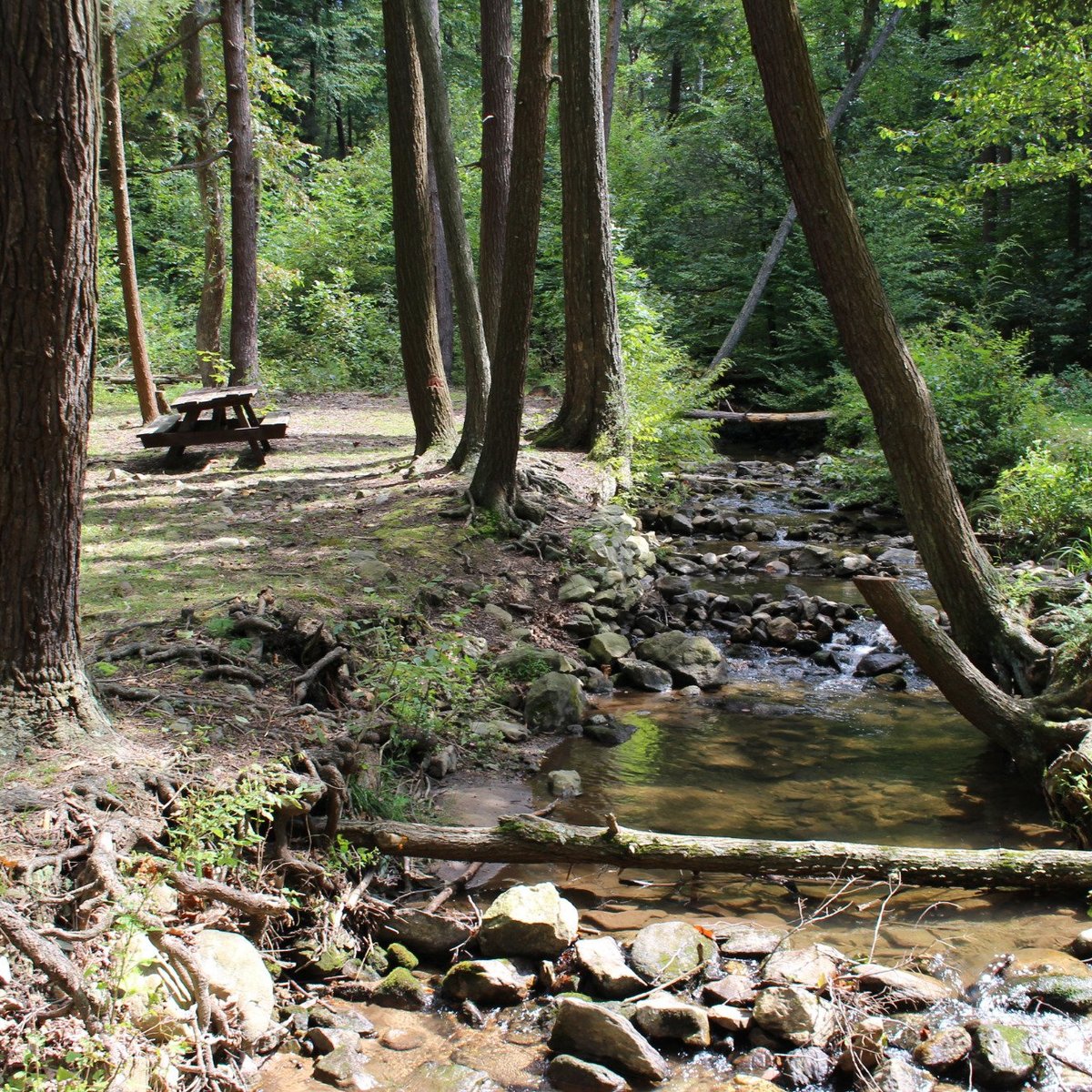 Mont Alto State Park All You Need to Know BEFORE You Go