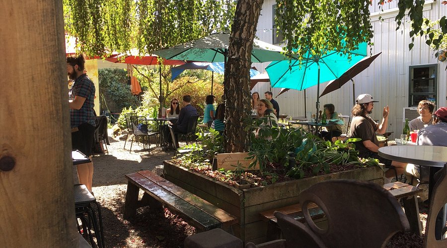 Tin Shed Garden Cafe