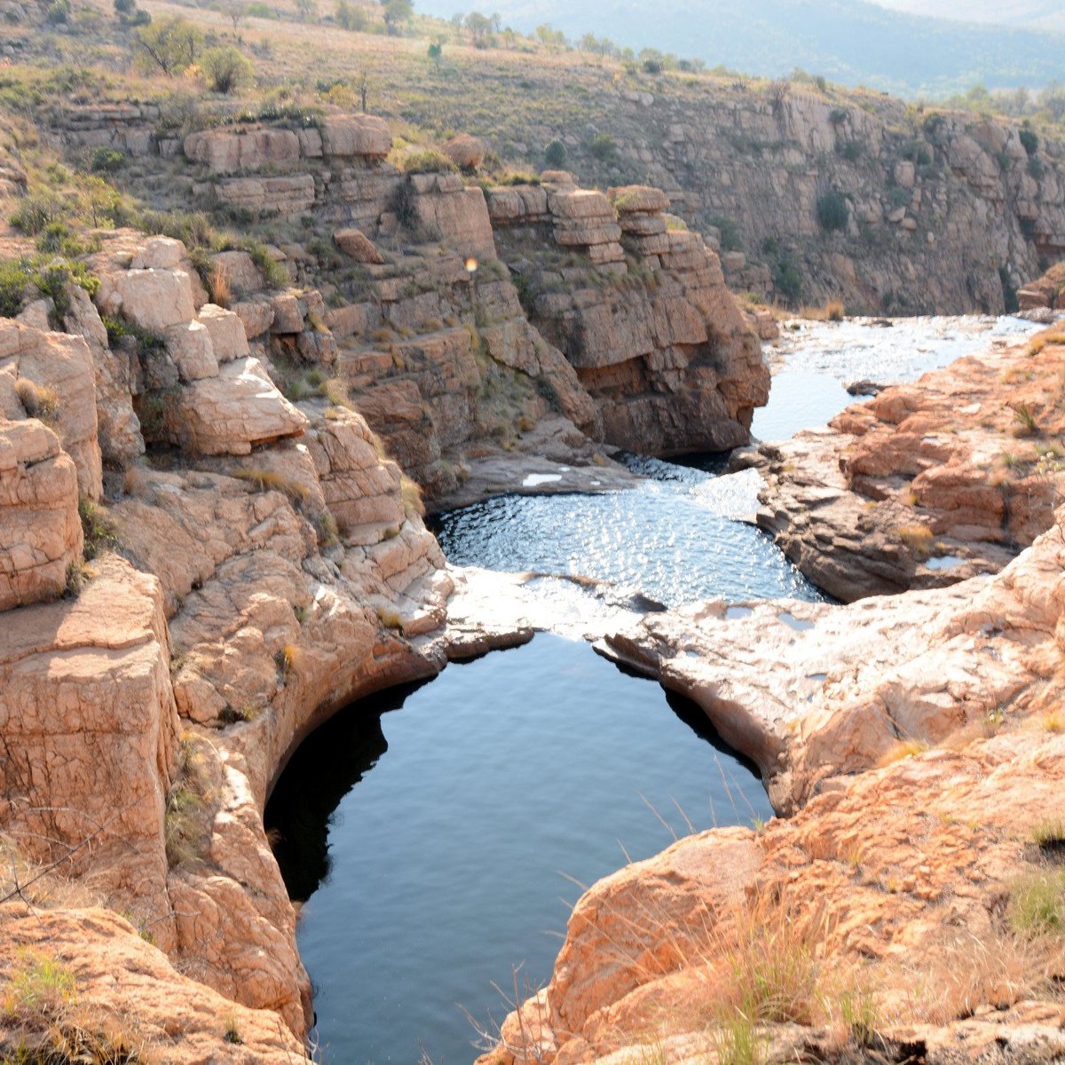 Kgaswane Nature Reserve All You Need To Know Before You Go 2024 0398