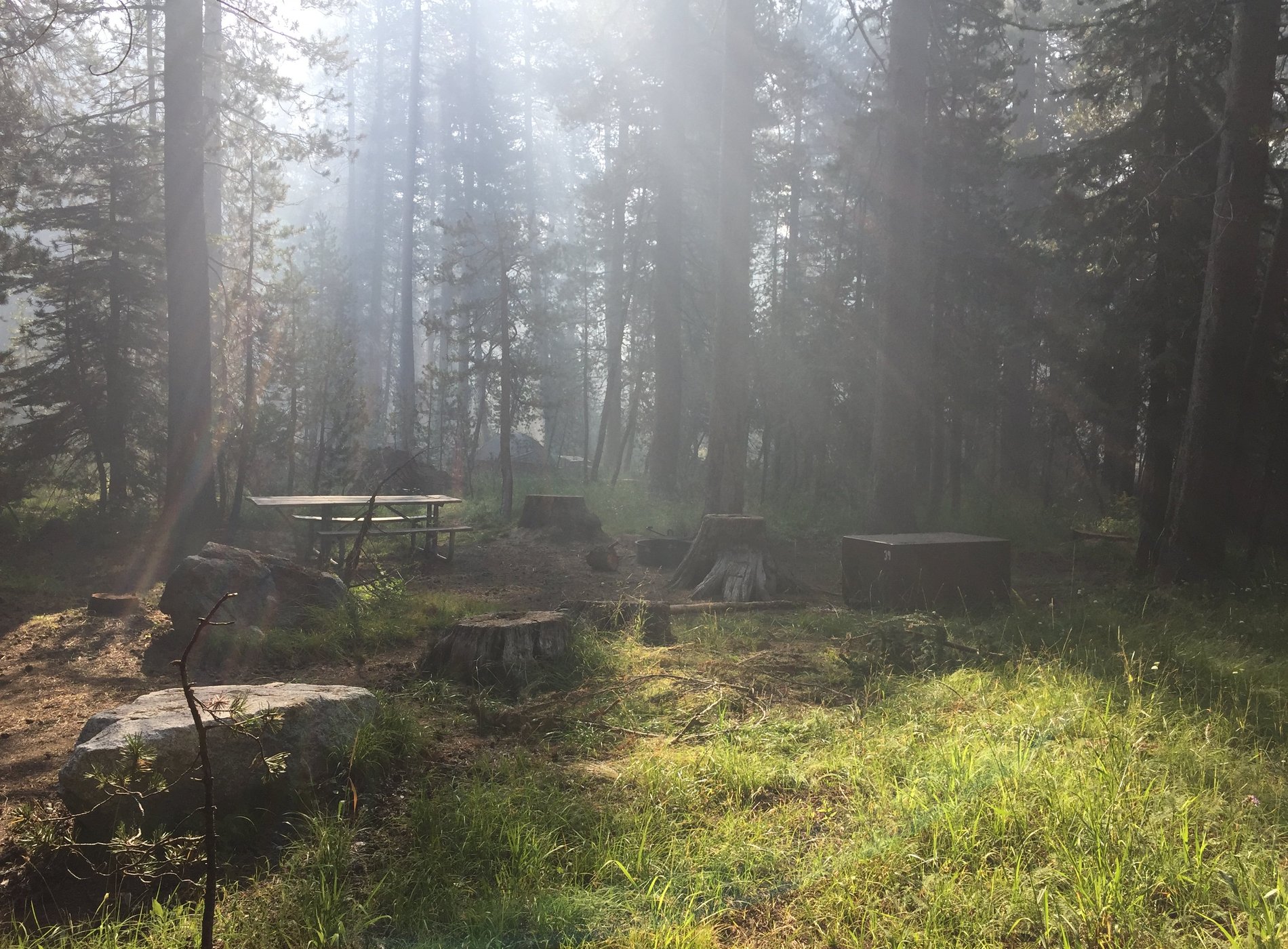 Bridalveil Creek Campground by null