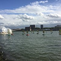 Drijvend Bos
