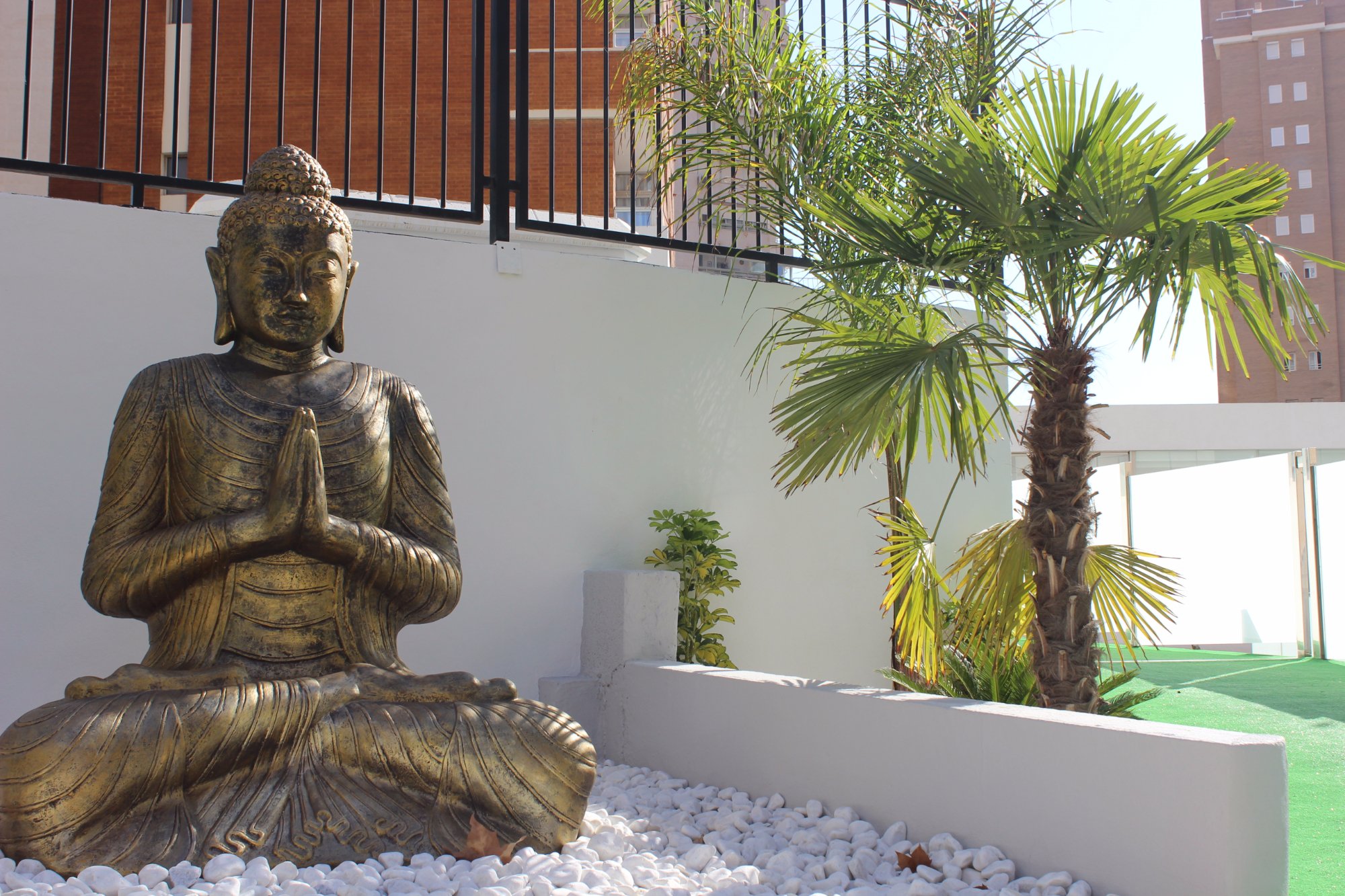 Hotel photo 7 of Flamingo Beach Resort.