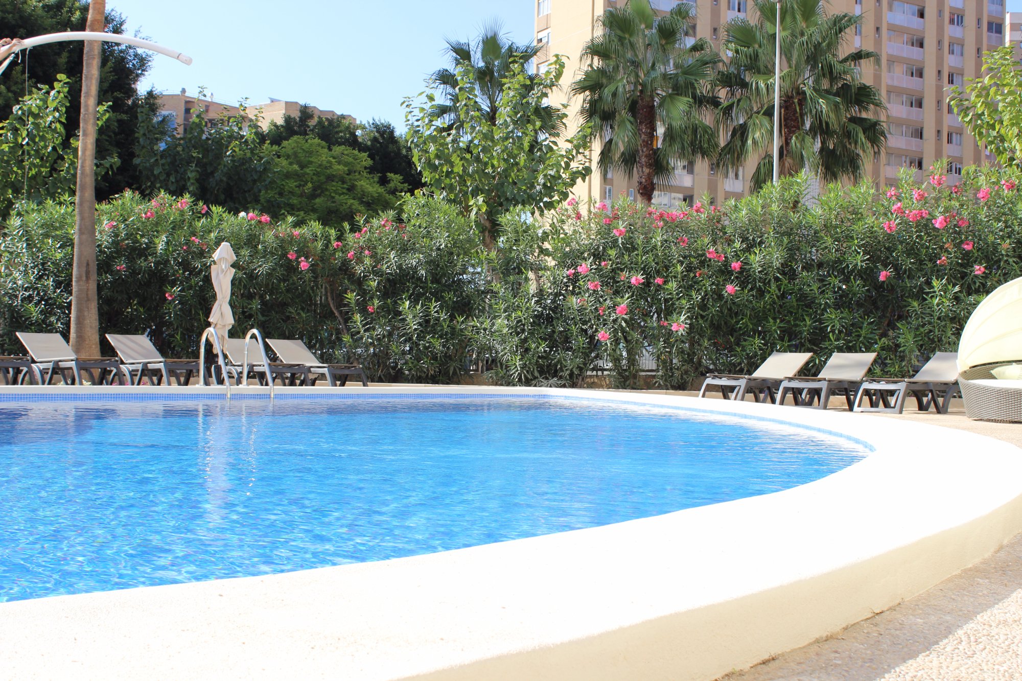 Hotel photo 21 of Flamingo Beach Resort.