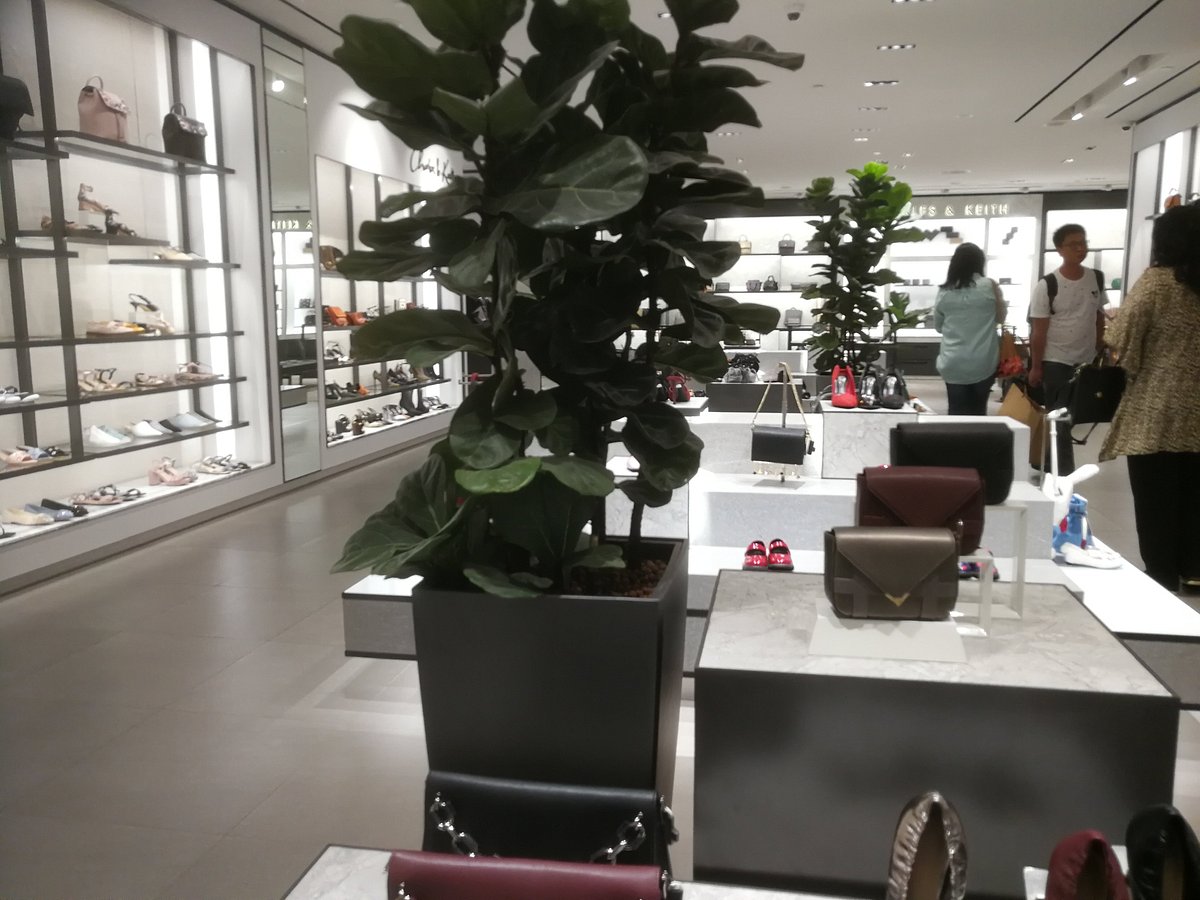 Interior view of CHARLES & KEITH store in Changi Airport. It was founded by brothers  Charles and Keith Wong. Dedicated to bringing trends to fashion-forward  consumers. Singapore - JAN 6, 2019. Stock
