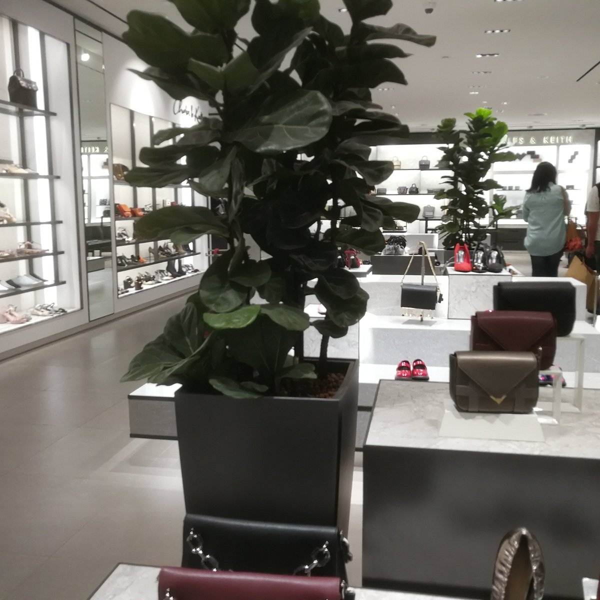 Charles & Keith Store Outlet in Orchard, Singapore Editorial Photo