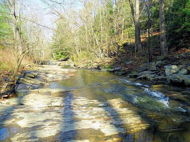 Botanical Gardens at Asheville - All You Need to Know BEFORE You Go (with Photos)