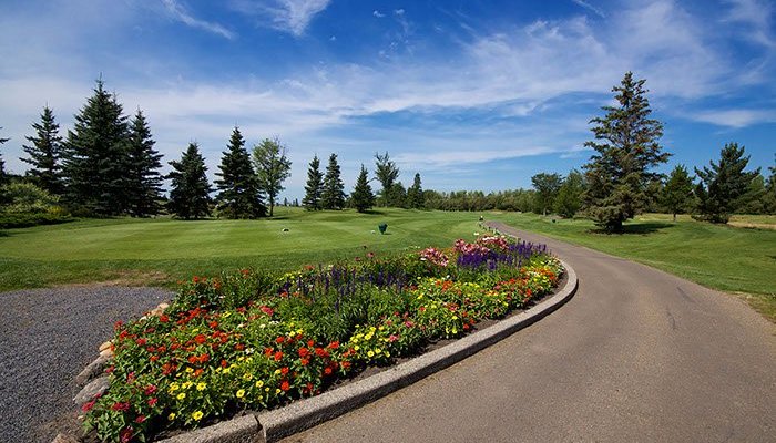 Pristine fairways.