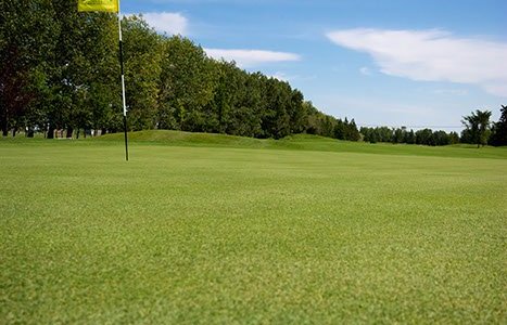 Well-maintained greens.