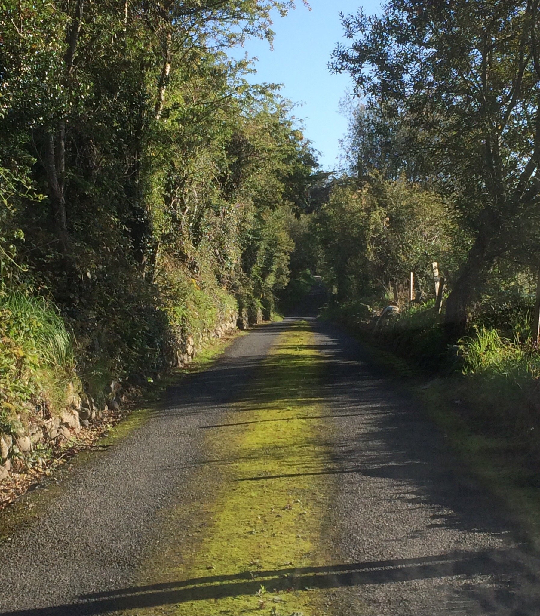 RIVER VALLEY FARMHOUSE - Lodge Reviews (Killarney, Ireland)