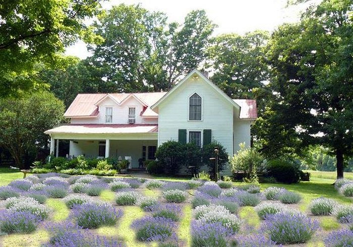 https://dynamic-media-cdn.tripadvisor.com/media/photo-o/10/a8/b5/23/1860-farm-house.jpg?w=700&h=-1&s=1