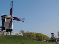 Moinho De Vento Histórico Na Pequena Colina Na Natureza Em Brugge