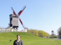 Moinho De Vento Histórico Na Pequena Colina Na Natureza Em Brugge