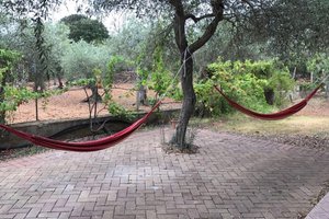 Viaggiatori