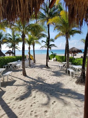 Sandos Playacar - UPDATED 2023 Prices, Reviews & Photos (Riviera Maya ...