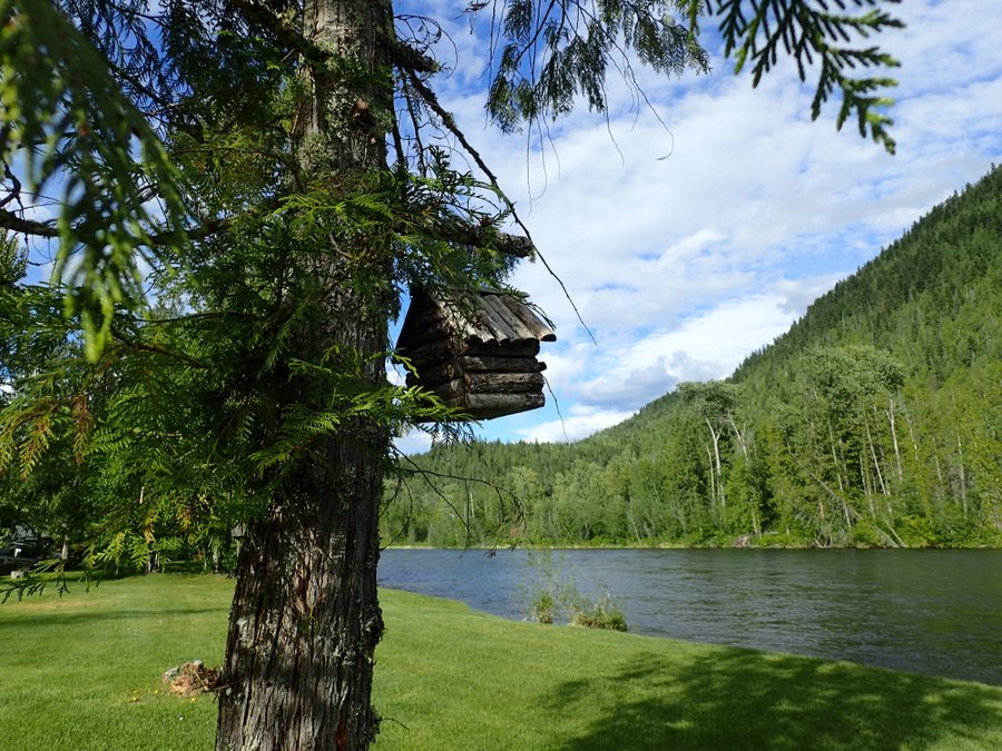 Shuswap Falls Rv Resort Campground Reviews Enderby British Columbia Tripadvisor