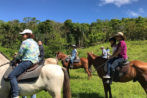 synd Snart Outlaw Las Piedras, Puerto Rico 2023: Best Places to Visit - Tripadvisor