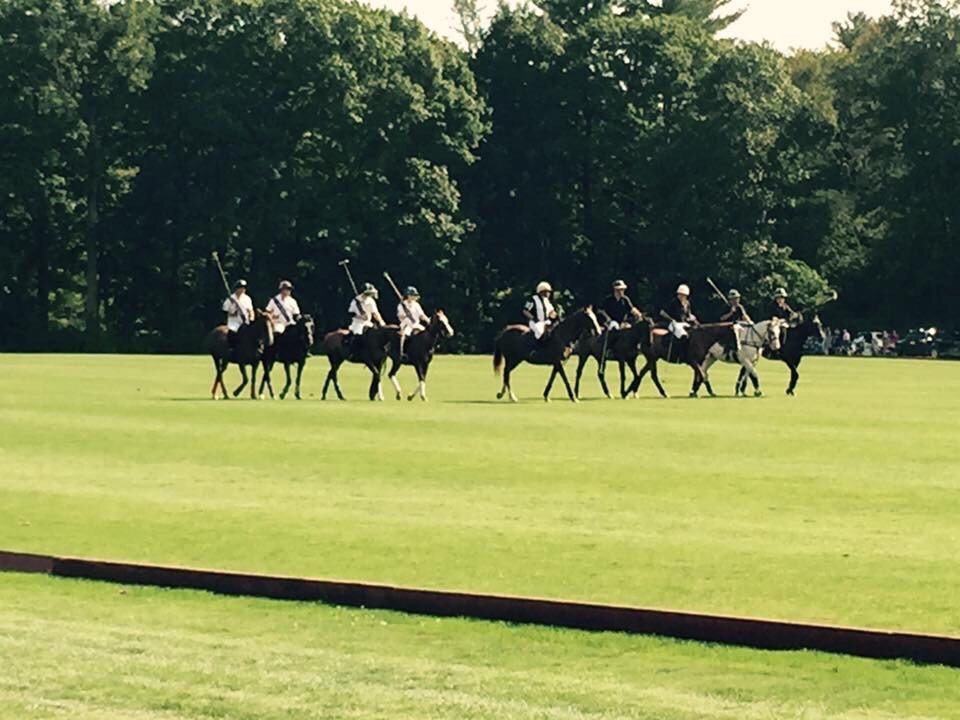 Myopia Polo Club (2025) - All You Need to Know BEFORE You Go