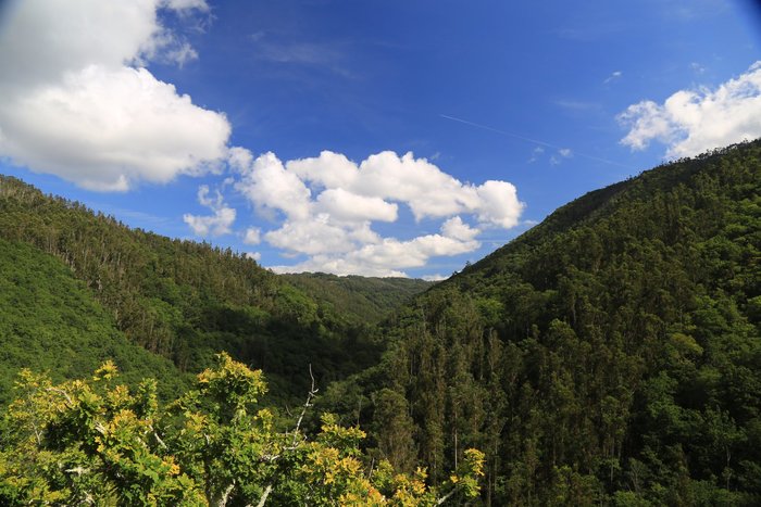 Imagen 1 de Parque Natural Fragas del Eume